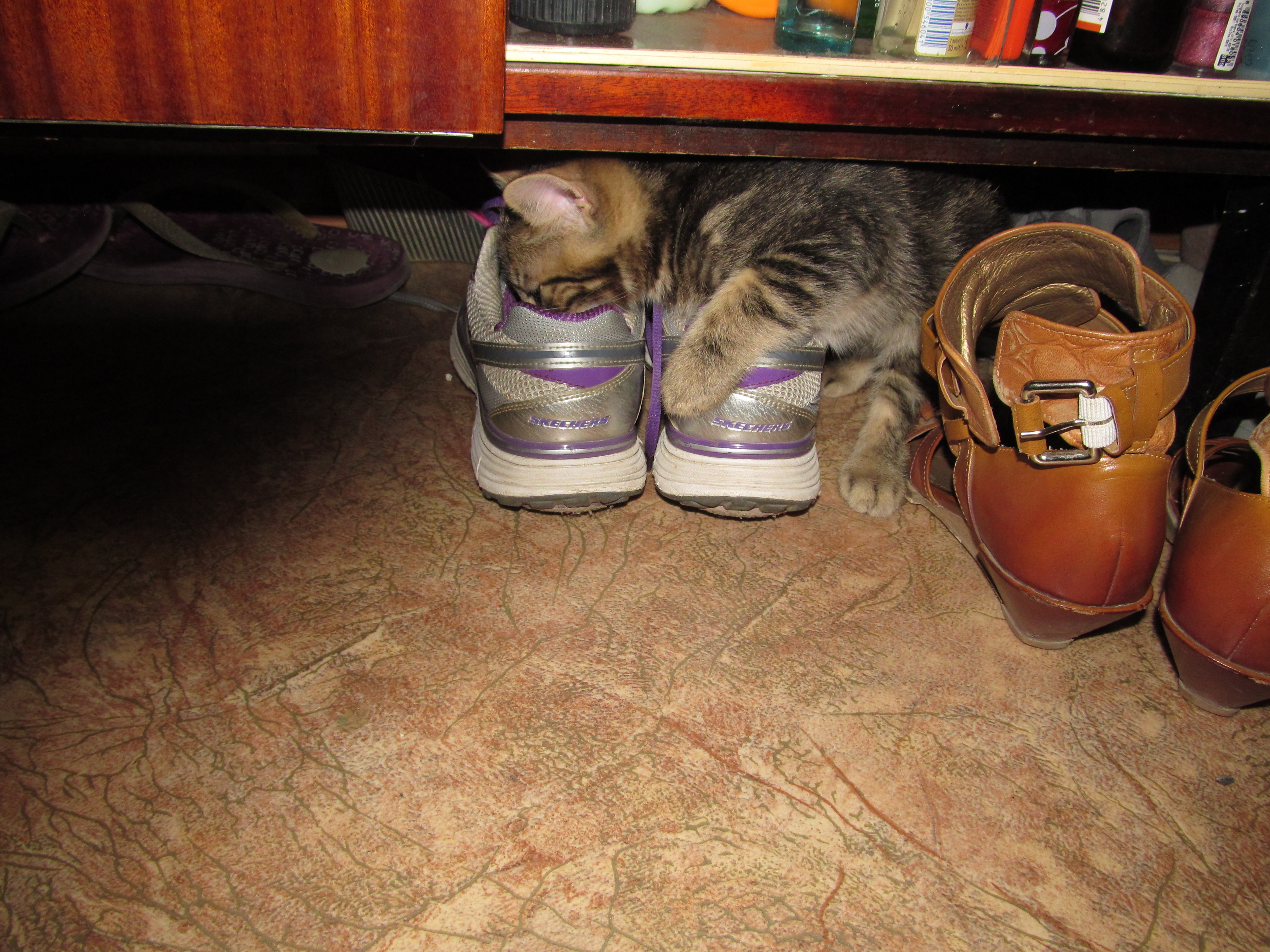 Vasiliy and Shoes